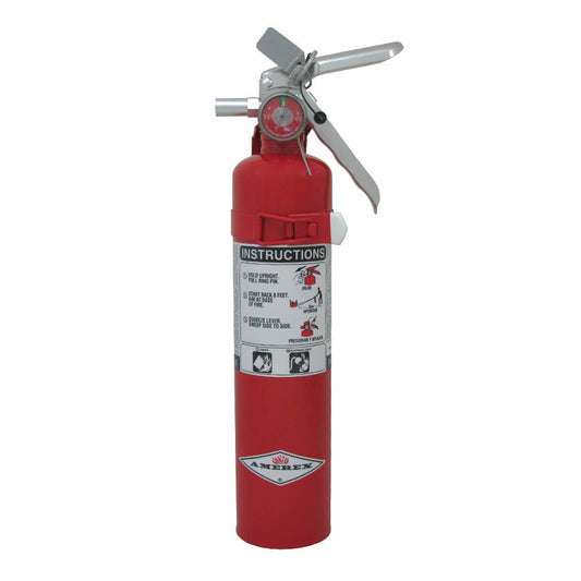 2.5 lb Purple-K Fire Extinguisher - Model B410T