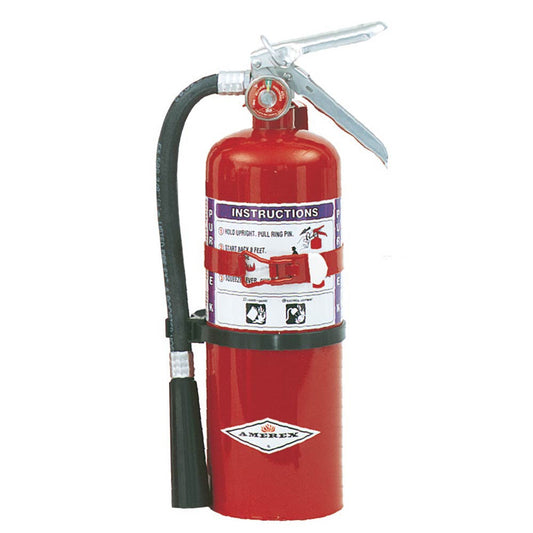 5 lb Purple-K Fire Extinguisher - Model B479T